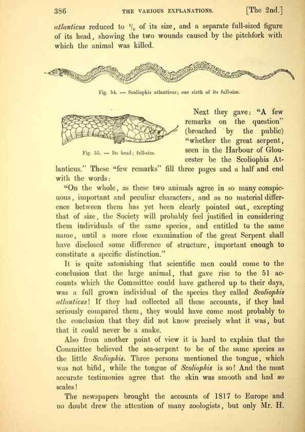 Reproducción/Reproduction 15572661786: The great sea-serpent.. Leiden :E. J. Brill;[1892]