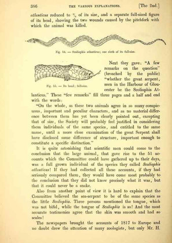 Reproducción/Reproduction 15572661786: The great sea-serpent.. Leiden :E. J. Brill;[1892]