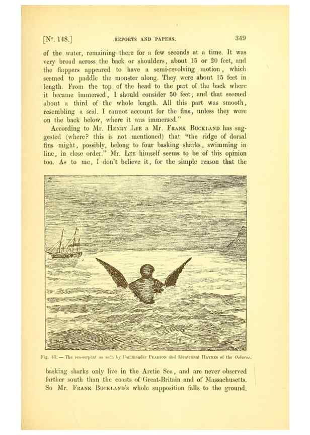 Reproducción/Reproduction 14976183973: The great sea-serpent.. Leiden :E. J. Brill;[1892]