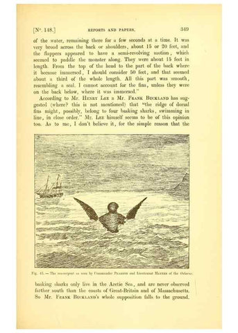 Reproducción/Reproduction 14976183973: The great sea-serpent.. Leiden :E. J. Brill;[1892]