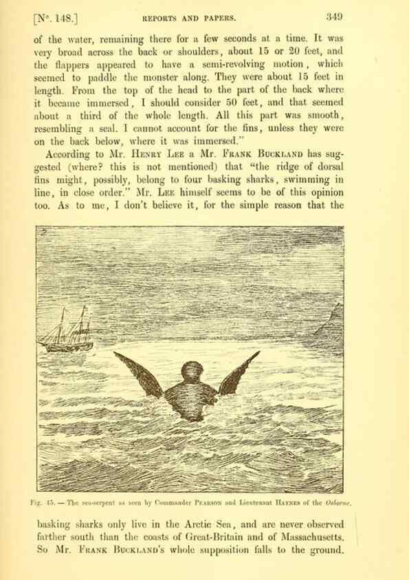 Reproducción/Reproduction 14976183973: The great sea-serpent.. Leiden :E. J. Brill;[1892]