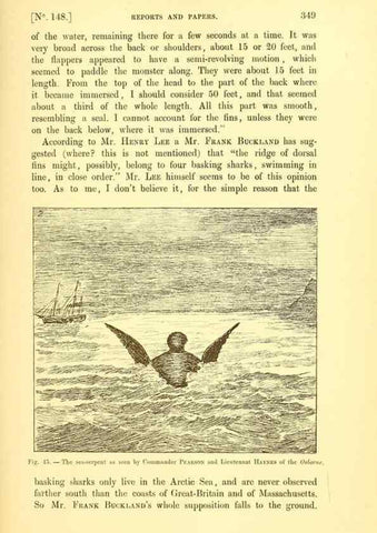 Reproducción/Reproduction 14976183973: The great sea-serpent.. Leiden :E. J. Brill;[1892]