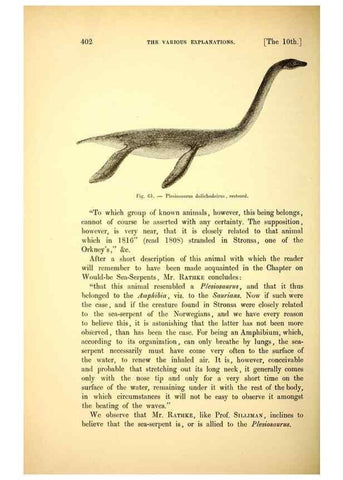 Reproducción/Reproduction 15410246438: The great sea-serpent.. Leiden :E. J. Brill;[1892]