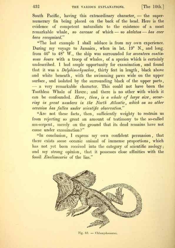Reproducción/Reproduction 15572670126: The great sea-serpent.. Leiden :E. J. Brill;[1892]