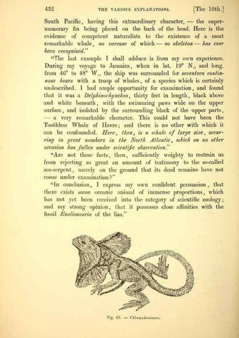 Reproducción/Reproduction 15572670126: The great sea-serpent.. Leiden :E. J. Brill;[1892]