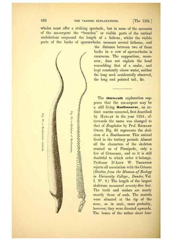 Reproducción/Reproduction 14976205493: The great sea-serpent.. Leiden :E. J. Brill;[1892]