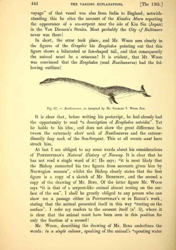 Reproducción/Reproduction 15593695941: The great sea-serpent.. Leiden :E. J. Brill;[1892]