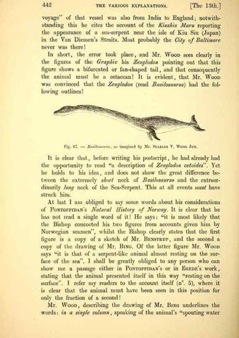 Reproducción/Reproduction 15593695941: The great sea-serpent.. Leiden :E. J. Brill;[1892]