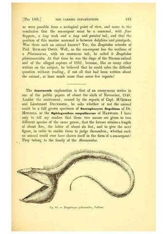 Reproducción/Reproduction 15572676996: The great sea-serpent.. Leiden :E. J. Brill;[1892]