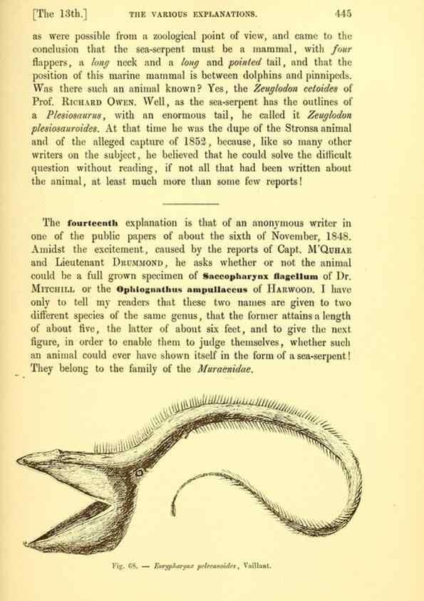 Reproducción/Reproduction 15572676996: The great sea-serpent.. Leiden :E. J. Brill;[1892]