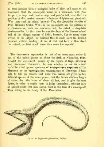 Reproducción/Reproduction 15572676996: The great sea-serpent.. Leiden :E. J. Brill;[1892]