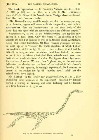 Reproducción/Reproduction 15409734139: The great sea-serpent.. Leiden :E. J. Brill;[1892]