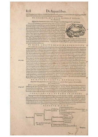 Reproducción/Reproduction 15570074422: Conradi Gesneri medici Tigurini Historiae animalium liber IV :. Francofurti :In Bibliopolio Andreae Cambieri,anno MDCIIII [1604]