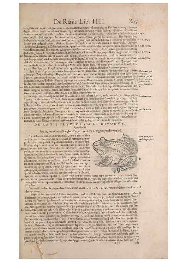 Reproducción/Reproduction 15570071052: Conradi Gesneri medici Tigurini Historiae animalium liber IV :. Francofurti :In Bibliopolio Andreae Cambieri,anno MDCIIII [1604]