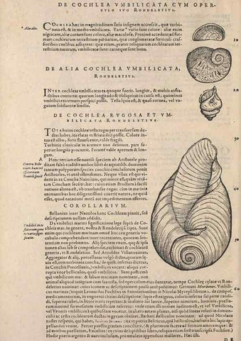Reproducción/Reproduction 14947820054: Conradi Gesneri medici Tigurini Historiae animalium liber IV :. Francofurti :In Bibliopolio Andreae Cambieri,anno MDCIIII [1604]