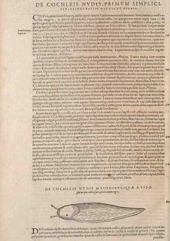 Reproducción/Reproduction 15381939419: Conradi Gesneri medici Tigurini Historiae animalium liber IV :. Francofurti :In Bibliopolio Andreae Cambieri,anno MDCIIII [1604]