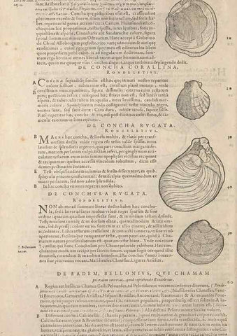 Reproducción/Reproduction 15569422082: Conradi Gesneri medici Tigurini Historiae animalium liber IV :. Francofurti :In Bibliopolio Andreae Cambieri,anno MDCIIII [1604]