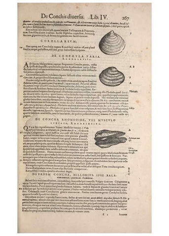 Reproducción/Reproduction 14947835494: Conradi Gesneri medici Tigurini Historiae animalium liber IV :. Francofurti :In Bibliopolio Andreae Cambieri,anno MDCIIII [1604]