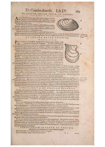 Reproducción/Reproduction 15565920211: Conradi Gesneri medici Tigurini Historiae animalium liber IV :. Francofurti :In Bibliopolio Andreae Cambieri,anno MDCIIII [1604]
