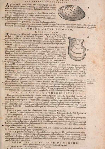 Reproducción/Reproduction 15565920211: Conradi Gesneri medici Tigurini Historiae animalium liber IV :. Francofurti :In Bibliopolio Andreae Cambieri,anno MDCIIII [1604]