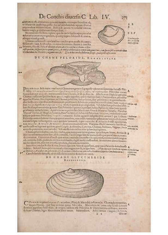 Reproducción/Reproduction 15544888936: Conradi Gesneri medici Tigurini Historiae animalium liber IV :. Francofurti :In Bibliopolio Andreae Cambieri,anno MDCIIII [1604]