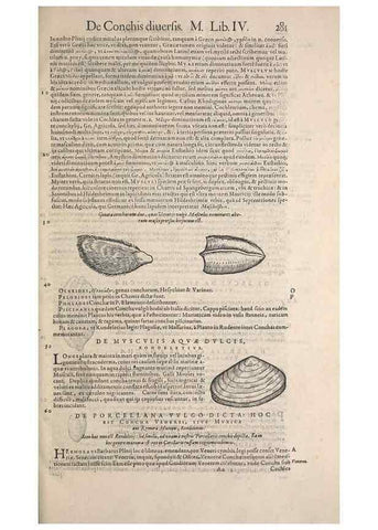 Reproducción/Reproduction 15568592795: Conradi Gesneri medici Tigurini Historiae animalium liber IV :. Francofurti :In Bibliopolio Andreae Cambieri,anno MDCIIII [1604]