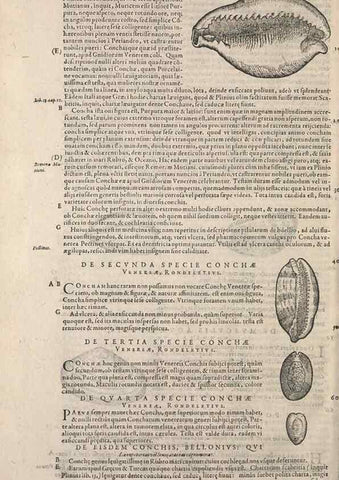 Reproducción/Reproduction 14947844984: Conradi Gesneri medici Tigurini Historiae animalium liber IV :. Francofurti :In Bibliopolio Andreae Cambieri,anno MDCIIII [1604]