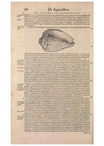 Reproducción/Reproduction 15381962829: Conradi Gesneri medici Tigurini Historiae animalium liber IV :. Francofurti :In Bibliopolio Andreae Cambieri,anno MDCIIII [1604]
