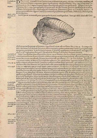 Reproducción/Reproduction 15381962829: Conradi Gesneri medici Tigurini Historiae animalium liber IV :. Francofurti :In Bibliopolio Andreae Cambieri,anno MDCIIII [1604]