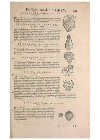Reproducción/Reproduction 15382561117: Conradi Gesneri medici Tigurini Historiae animalium liber IV :. Francofurti :In Bibliopolio Andreae Cambieri,anno MDCIIII [1604]