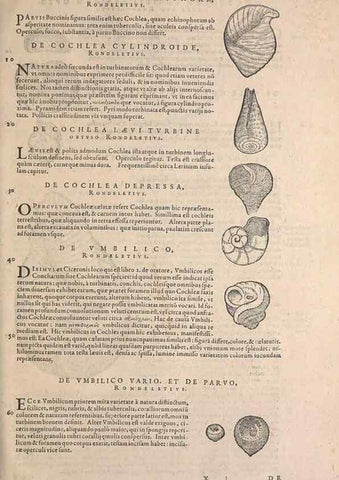 Reproducción/Reproduction 15382561117: Conradi Gesneri medici Tigurini Historiae animalium liber IV :. Francofurti :In Bibliopolio Andreae Cambieri,anno MDCIIII [1604]