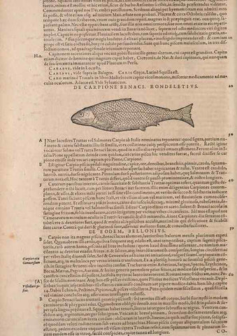 Reproducción/Reproduction 15569372242: Conradi Gesneri medici Tigurini Historiae animalium liber IV :. Francofurti :In Bibliopolio Andreae Cambieri,anno MDCIIII [1604]