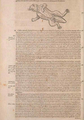 Reproducción/Reproduction 15382526987: Conradi Gesneri medici Tigurini Historiae animalium liber IV :. Francofurti :In Bibliopolio Andreae Cambieri,anno MDCIIII [1604]