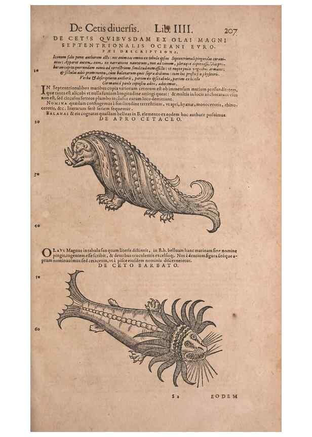 Reproducción/Reproduction 15565870141: Conradi Gesneri medici Tigurini Historiae animalium liber IV :. Francofurti :In Bibliopolio Andreae Cambieri,anno MDCIIII [1604]