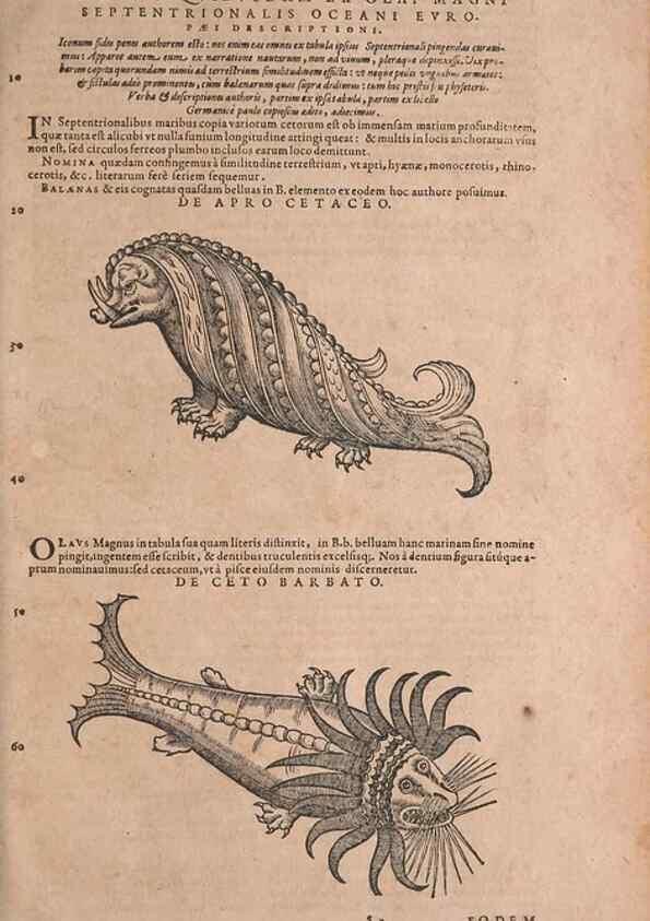 Reproducción/Reproduction 15565870141: Conradi Gesneri medici Tigurini Historiae animalium liber IV :. Francofurti :In Bibliopolio Andreae Cambieri,anno MDCIIII [1604]