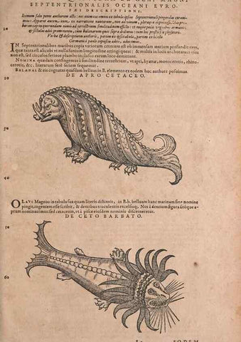 Reproducción/Reproduction 15565870141: Conradi Gesneri medici Tigurini Historiae animalium liber IV :. Francofurti :In Bibliopolio Andreae Cambieri,anno MDCIIII [1604]