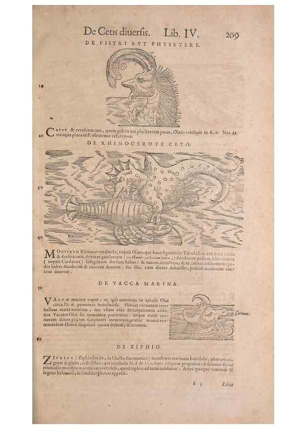 Reproducción/Reproduction 15544841106: Conradi Gesneri medici Tigurini Historiae animalium liber IV :. Francofurti :In Bibliopolio Andreae Cambieri,anno MDCIIII [1604]