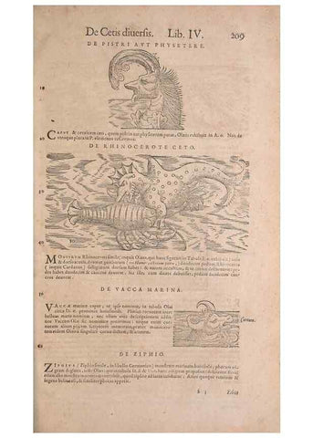 Reproducción/Reproduction 15544841106: Conradi Gesneri medici Tigurini Historiae animalium liber IV :. Francofurti :In Bibliopolio Andreae Cambieri,anno MDCIIII [1604]
