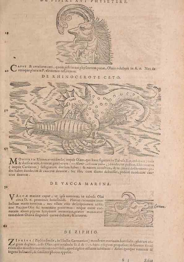 Reproducción/Reproduction 15544841106: Conradi Gesneri medici Tigurini Historiae animalium liber IV :. Francofurti :In Bibliopolio Andreae Cambieri,anno MDCIIII [1604]