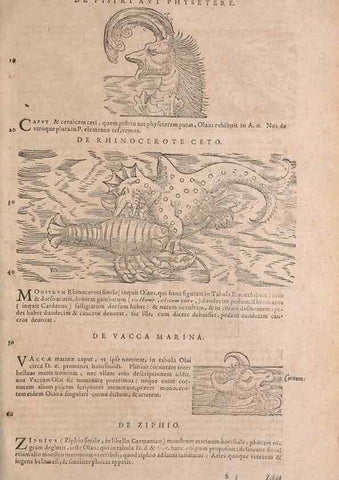 Reproducción/Reproduction 15544841106: Conradi Gesneri medici Tigurini Historiae animalium liber IV :. Francofurti :In Bibliopolio Andreae Cambieri,anno MDCIIII [1604]