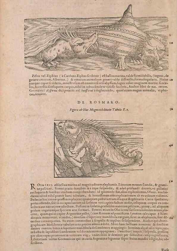 Reproducción/Reproduction 14947794454: Conradi Gesneri medici Tigurini Historiae animalium liber IV :. Francofurti :In Bibliopolio Andreae Cambieri,anno MDCIIII [1604]