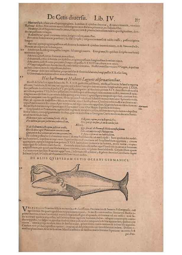 Reproducción/Reproduction 15382543507: Conradi Gesneri medici Tigurini Historiae animalium liber IV :. Francofurti :In Bibliopolio Andreae Cambieri,anno MDCIIII [1604]