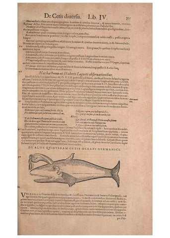 Reproducción/Reproduction 15382543507: Conradi Gesneri medici Tigurini Historiae animalium liber IV :. Francofurti :In Bibliopolio Andreae Cambieri,anno MDCIIII [1604]