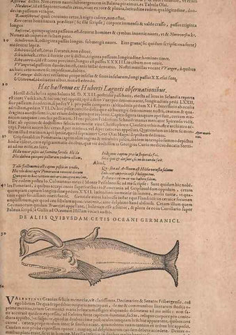 Reproducción/Reproduction 15382543507: Conradi Gesneri medici Tigurini Historiae animalium liber IV :. Francofurti :In Bibliopolio Andreae Cambieri,anno MDCIIII [1604]