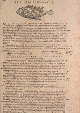 Reproducción/Reproduction 15544857726: Conradi Gesneri medici Tigurini Historiae animalium liber IV :. Francofurti :In Bibliopolio Andreae Cambieri,anno MDCIIII [1604]