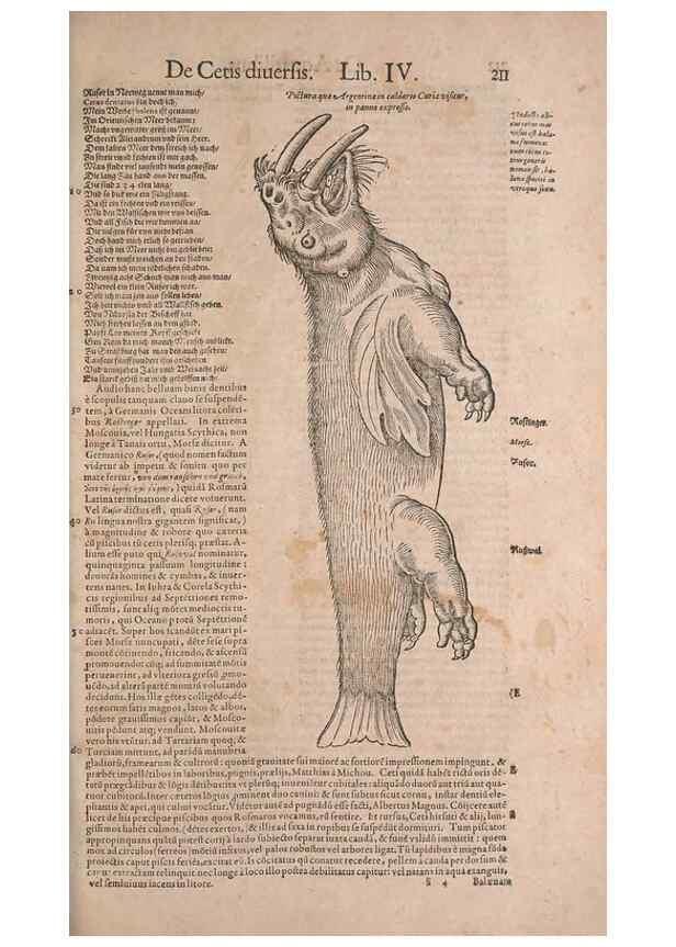 Reproducción/Reproduction 15382394418: Conradi Gesneri medici Tigurini Historiae animalium liber IV :. Francofurti :In Bibliopolio Andreae Cambieri,anno MDCIIII [1604]