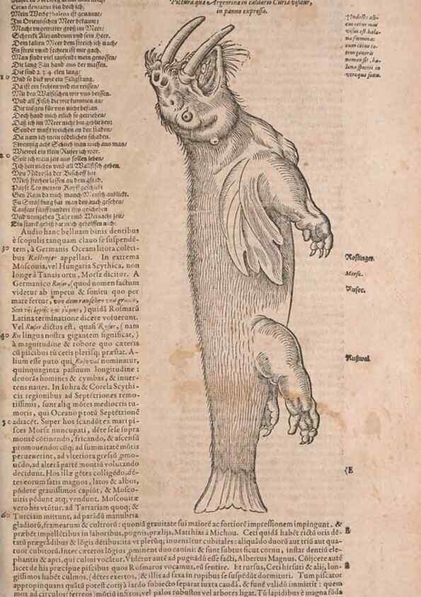 Reproducción/Reproduction 15382394418: Conradi Gesneri medici Tigurini Historiae animalium liber IV :. Francofurti :In Bibliopolio Andreae Cambieri,anno MDCIIII [1604]