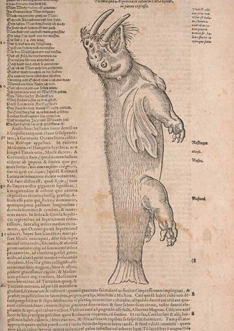 Reproducción/Reproduction 15382394418: Conradi Gesneri medici Tigurini Historiae animalium liber IV :. Francofurti :In Bibliopolio Andreae Cambieri,anno MDCIIII [1604]