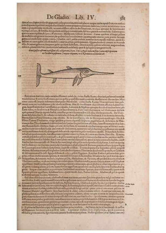 Reproducción/Reproduction 14948478173: Conradi Gesneri medici Tigurini Historiae animalium liber IV :. Francofurti :In Bibliopolio Andreae Cambieri,anno MDCIIII [1604]