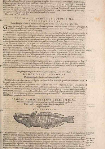 Reproducción/Reproduction 15382506368: Conradi Gesneri medici Tigurini Historiae animalium liber IV :. Francofurti :In Bibliopolio Andreae Cambieri,anno MDCIIII [1604]